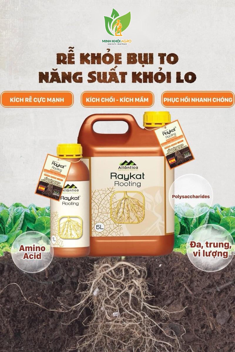 Phân bón sinh học hữu cơ Raykat Rooting (Raykat Start) - Tây Ban Nha